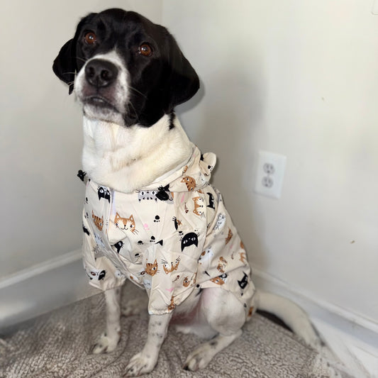 Waterproof Dog Raincoat (Cats)