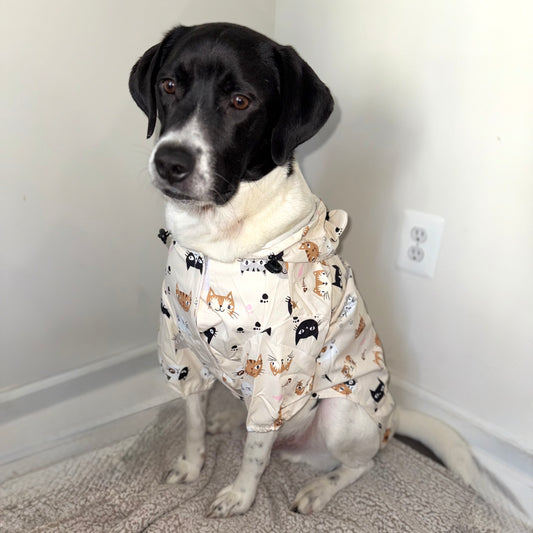 Waterproof Dog Raincoat (Cats)
