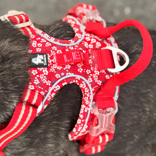 Cotton Dog Harness (Poppy Red)