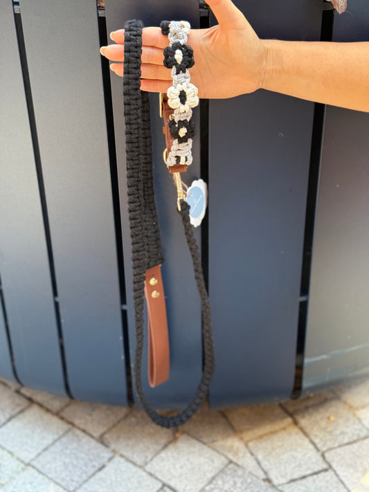 Macrame Handmade Collar and Leash Set (Black)