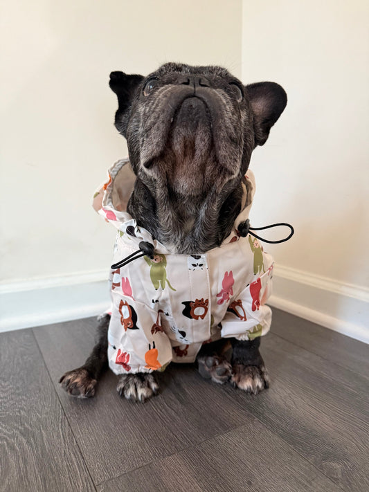 Waterproof Dog Raincoat (Forest Animals)