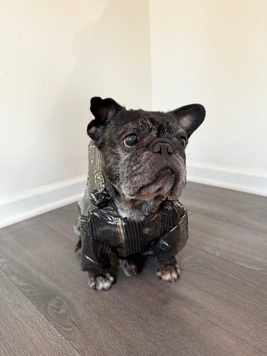 Waterproof Dog Raincoat (Grey)