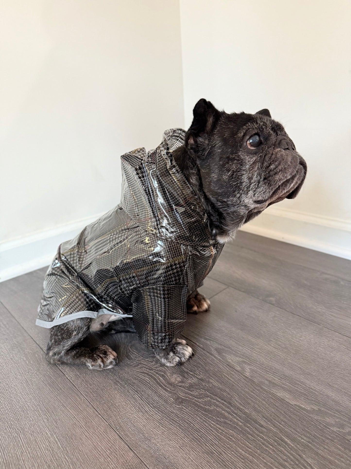 Waterproof Dog Raincoat (Grey)