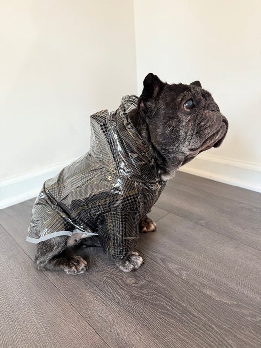Waterproof Dog Raincoat (Grey)