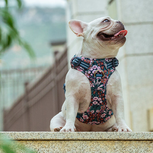 Cotton Dog Harness (Navy Blazer)