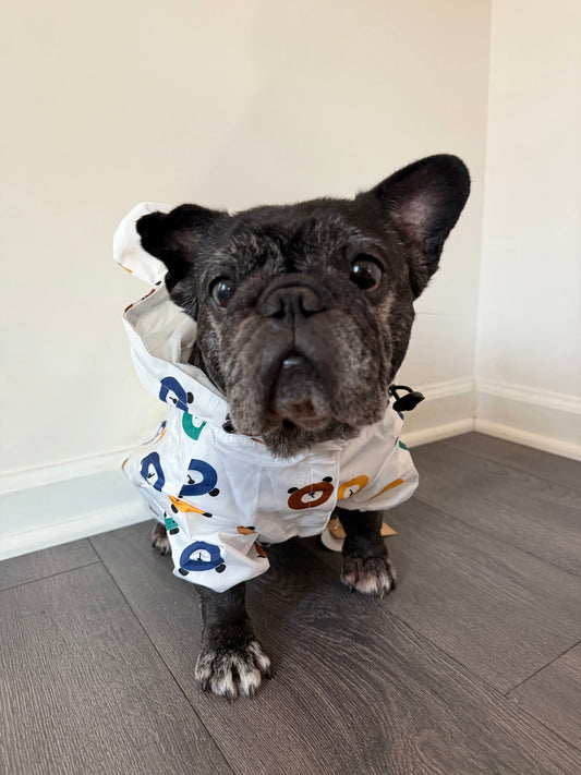 Waterproof Dog Raincoat (Bears)