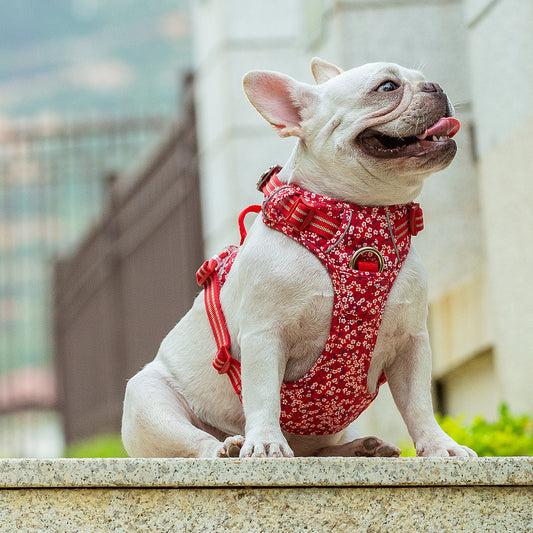 Cotton Dog Harness (Poppy Red)